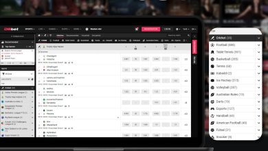 Photo of Betting on Sports at DBbet Online